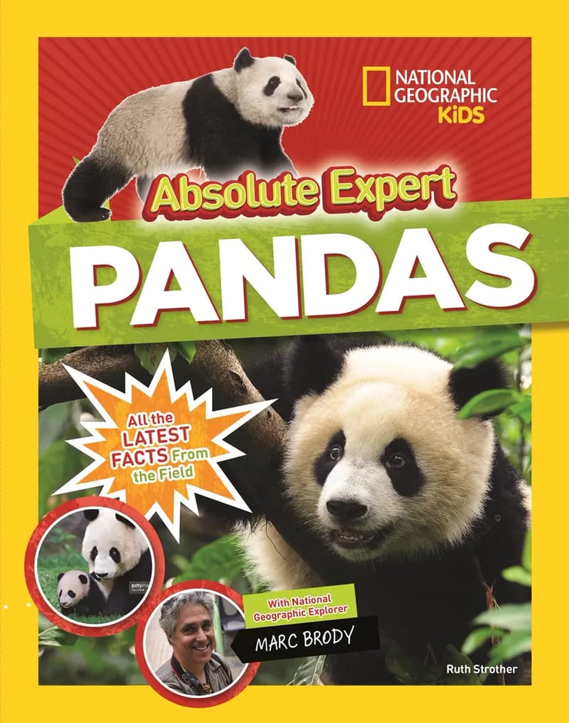 Absolute Expert: Pandas book cover