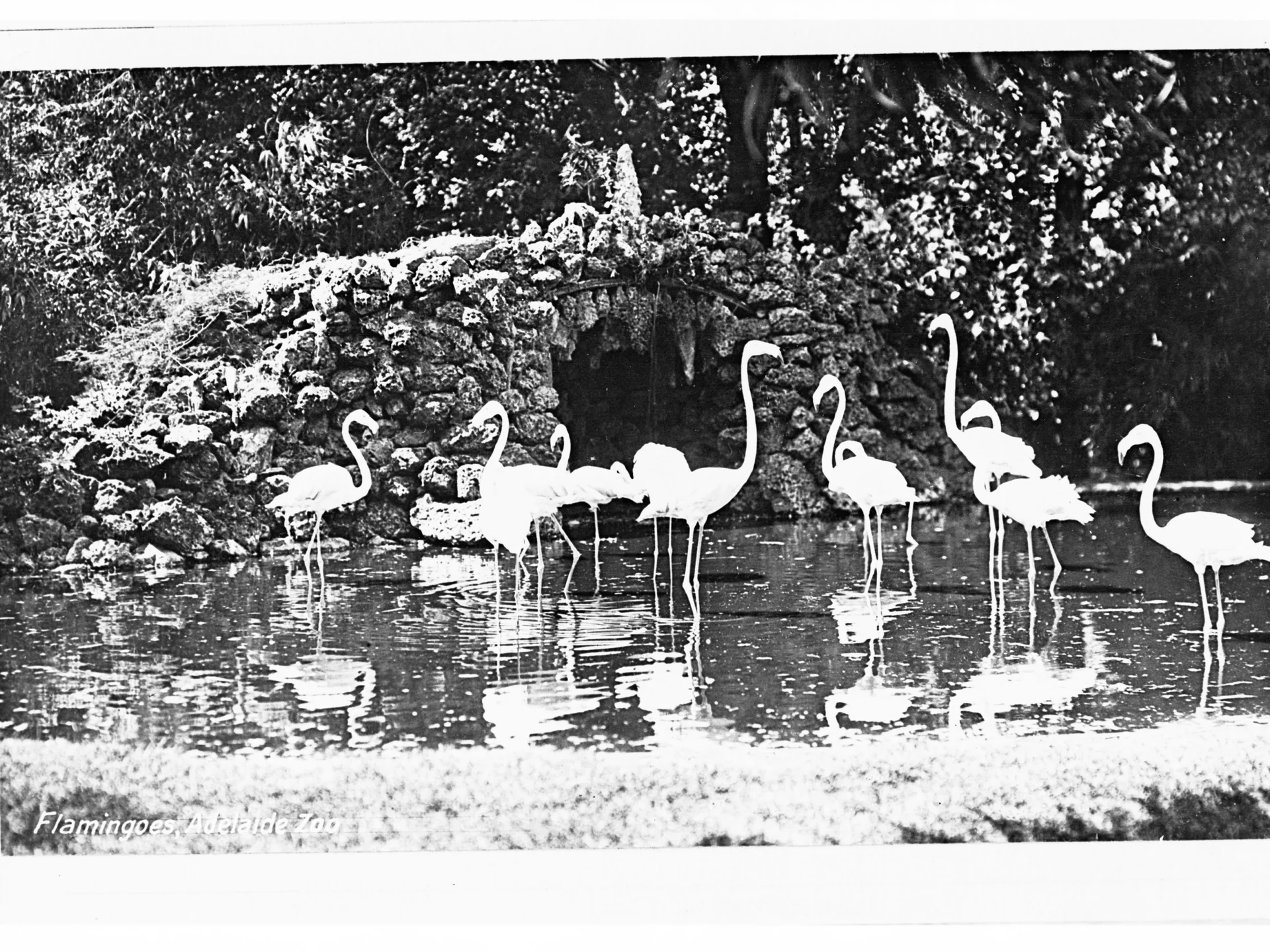 Photo of Adelaide Zoo