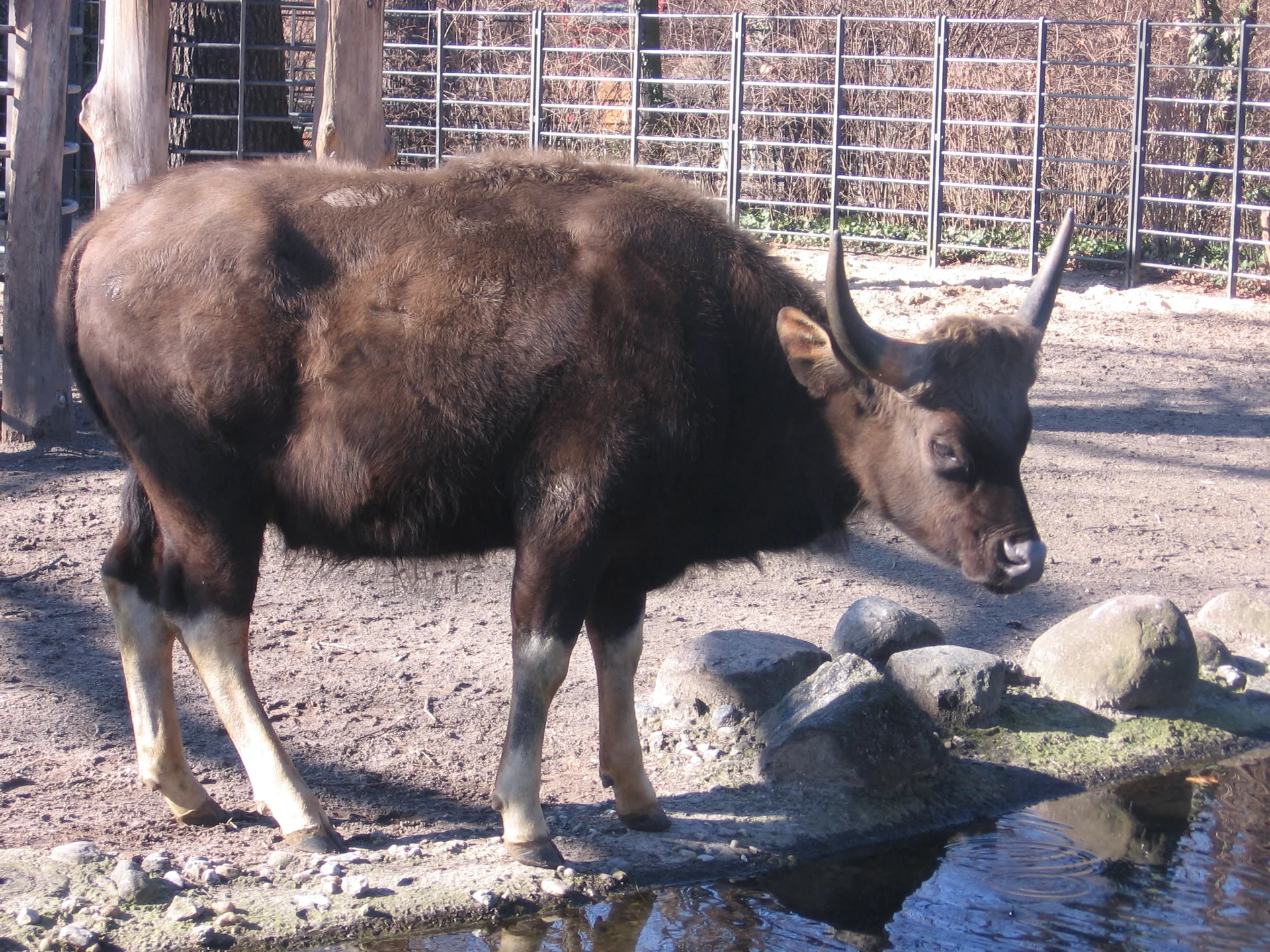 Photo of Zoo Berlin