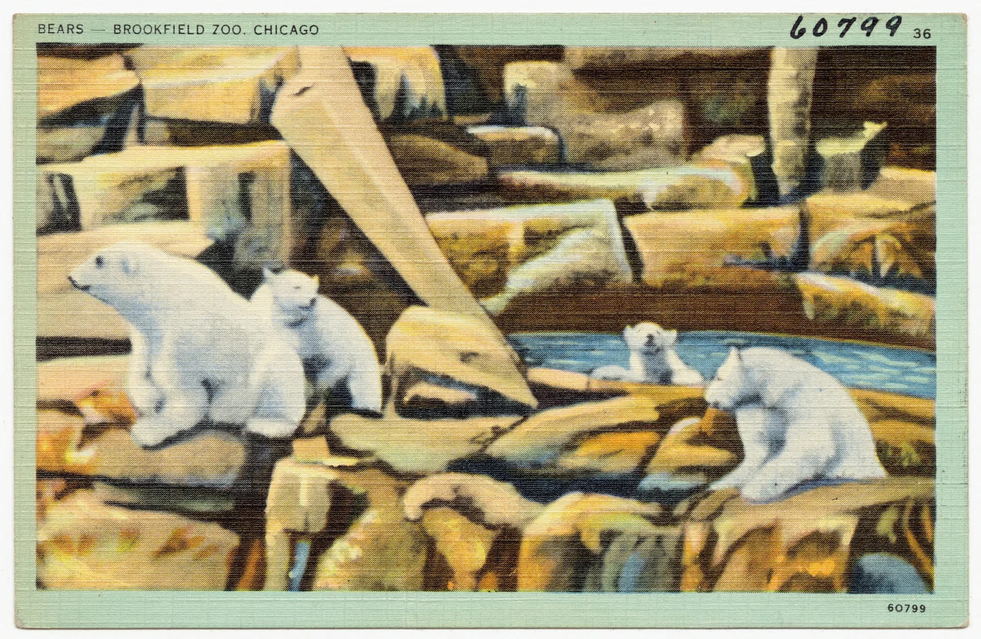 Photo of Brookfield Zoo