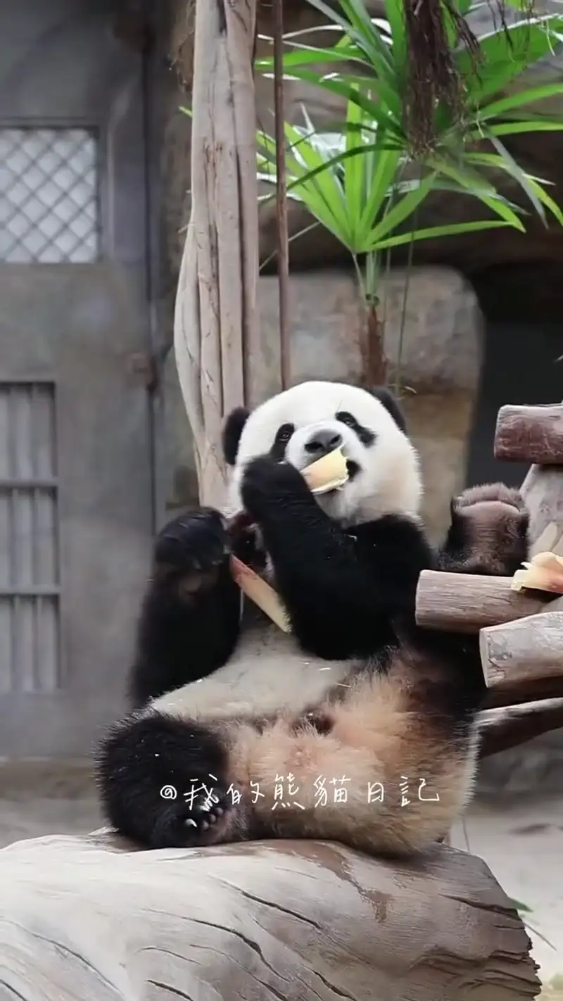 Video thumbnail: De De Eats Freely - De De