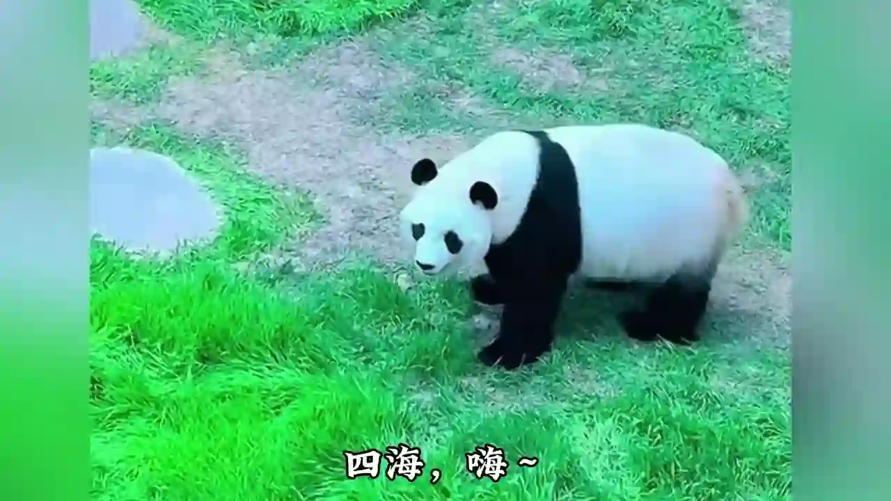 Video thumbnail: Si Hai sends greetings to family back home