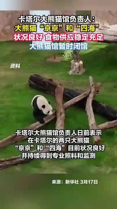 Video thumbnail: Jing Jing and Si Hai in good condition in Qatar with temporary closure measures