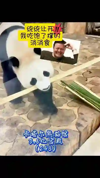 Video thumbnail: Jing Jing eating non-stop, never a dull moment