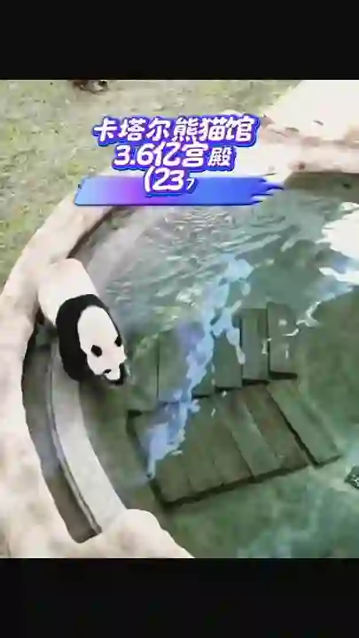 Video thumbnail: Jing Jing loves his bath, relaxed and content
