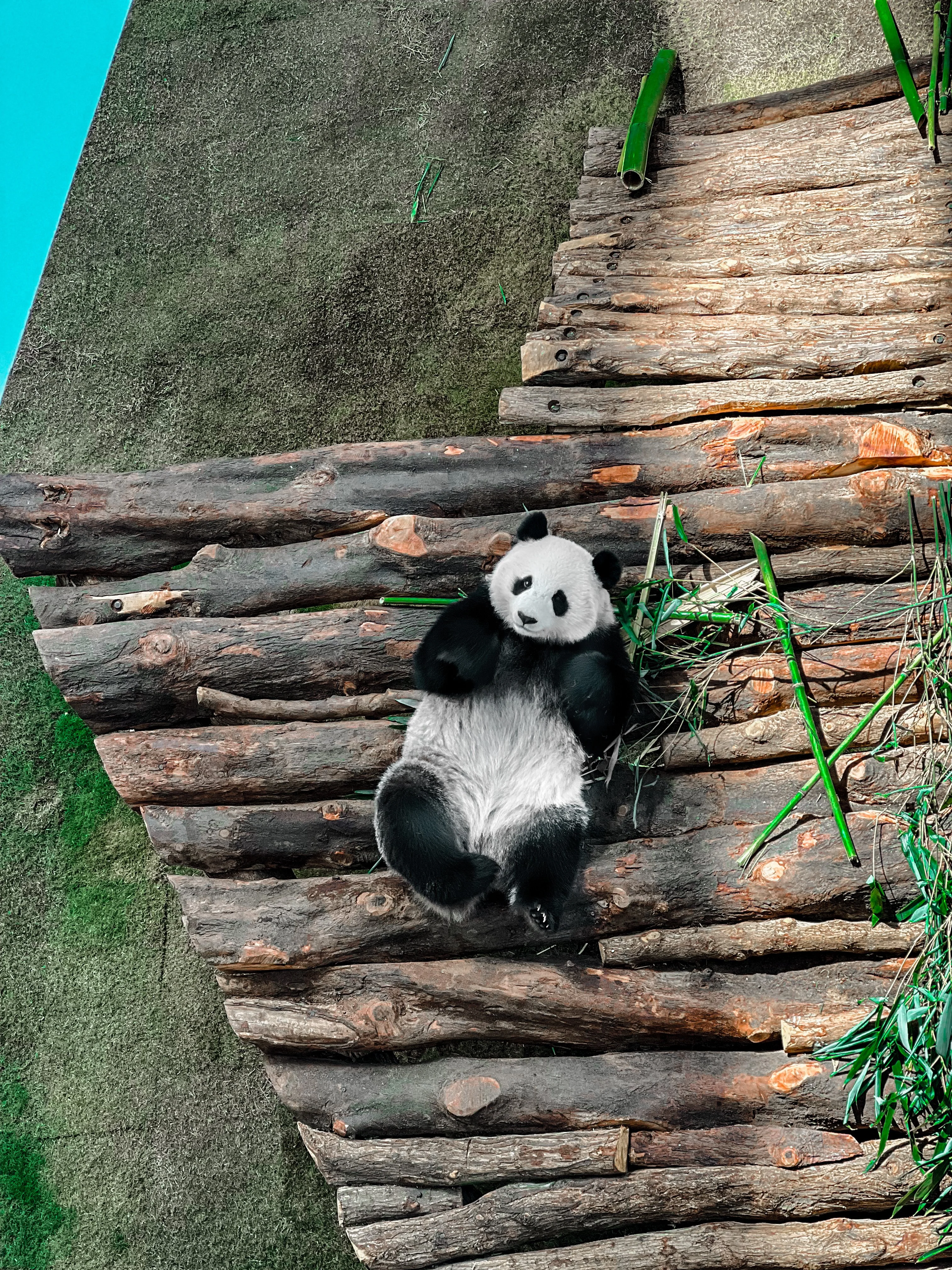 Resting on a wooden raft