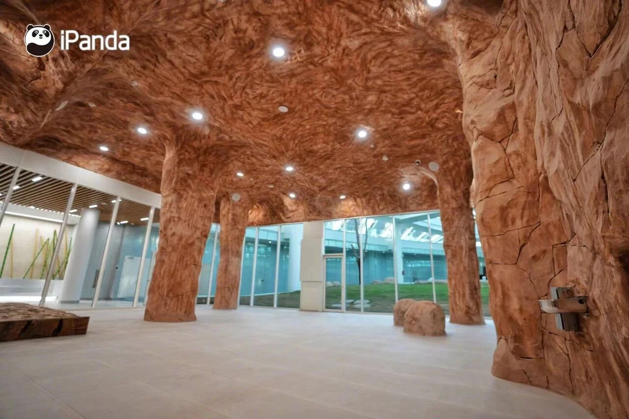 Interior of the Doha Panda House