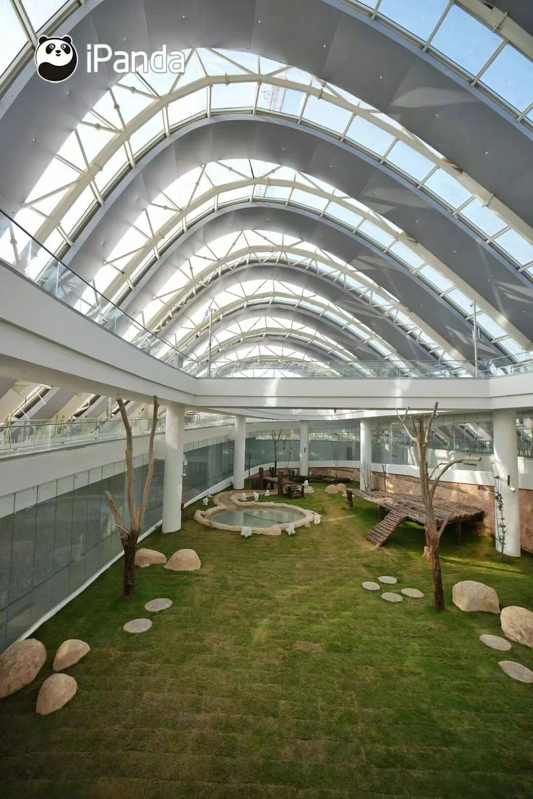 Giant panda habitat area at the Doha Panda House