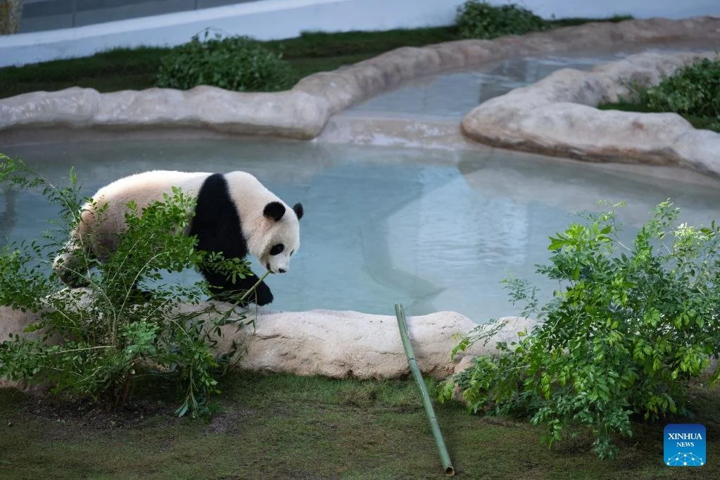 Walking by the pool