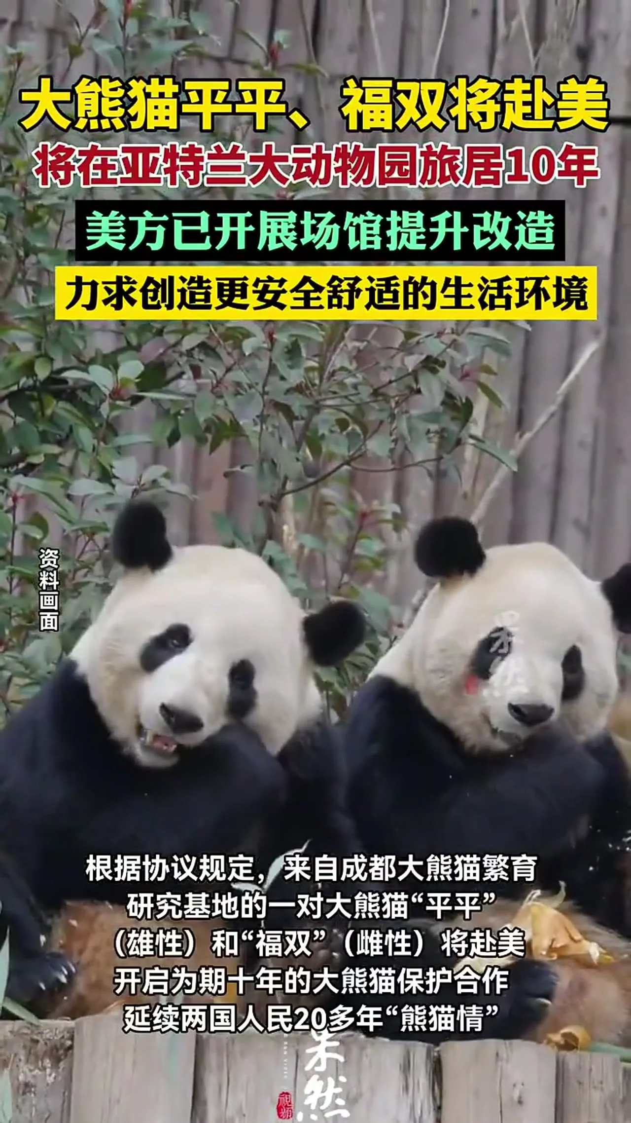 Video thumbnail: Fu Shuang and Ping Ping to the U.S.