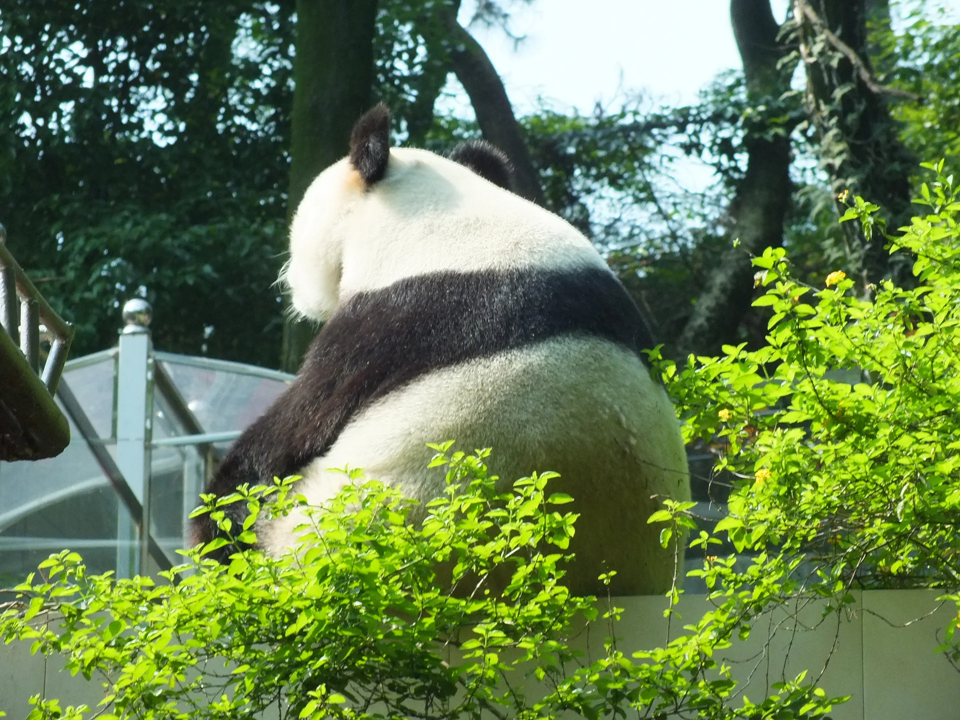 Photo of Fuzhou Panda World