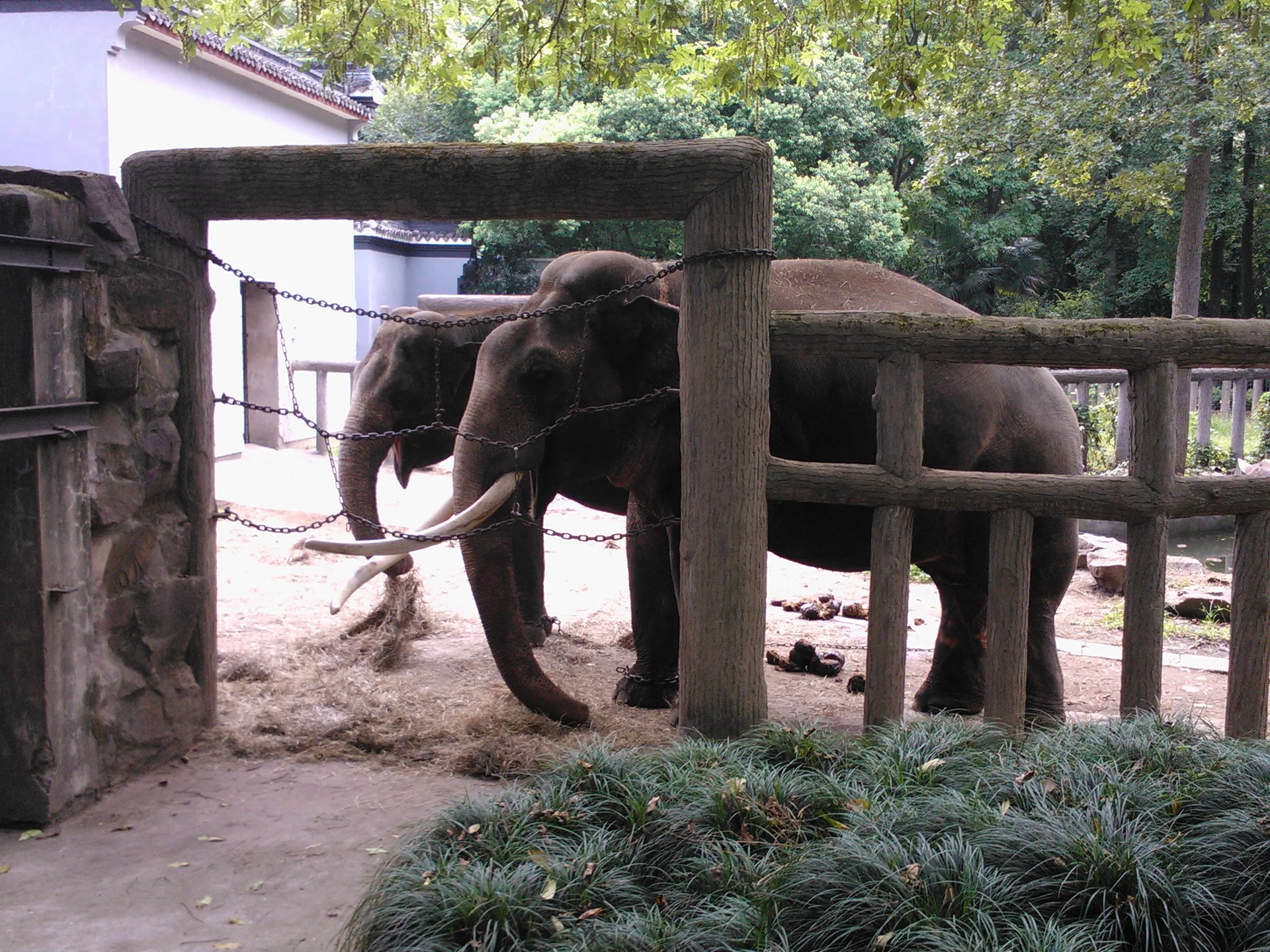 Photo of Hangzhou Zoo