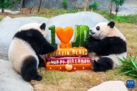 Twins 1st Birthday Cake - Ga Ga & De De