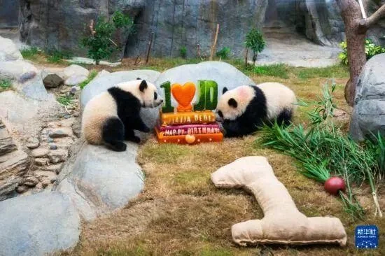 Twins 1st Birthday Celebration - Ga Ga & De De