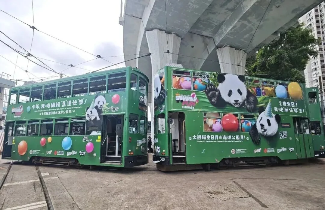 Twins Birthday Bus - Ga Ga & De De
