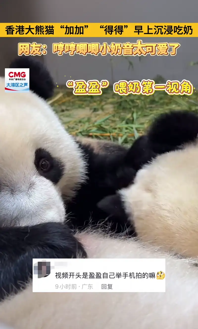 Video thumbnail: Twins Morning Milk - Ga Ga & De De