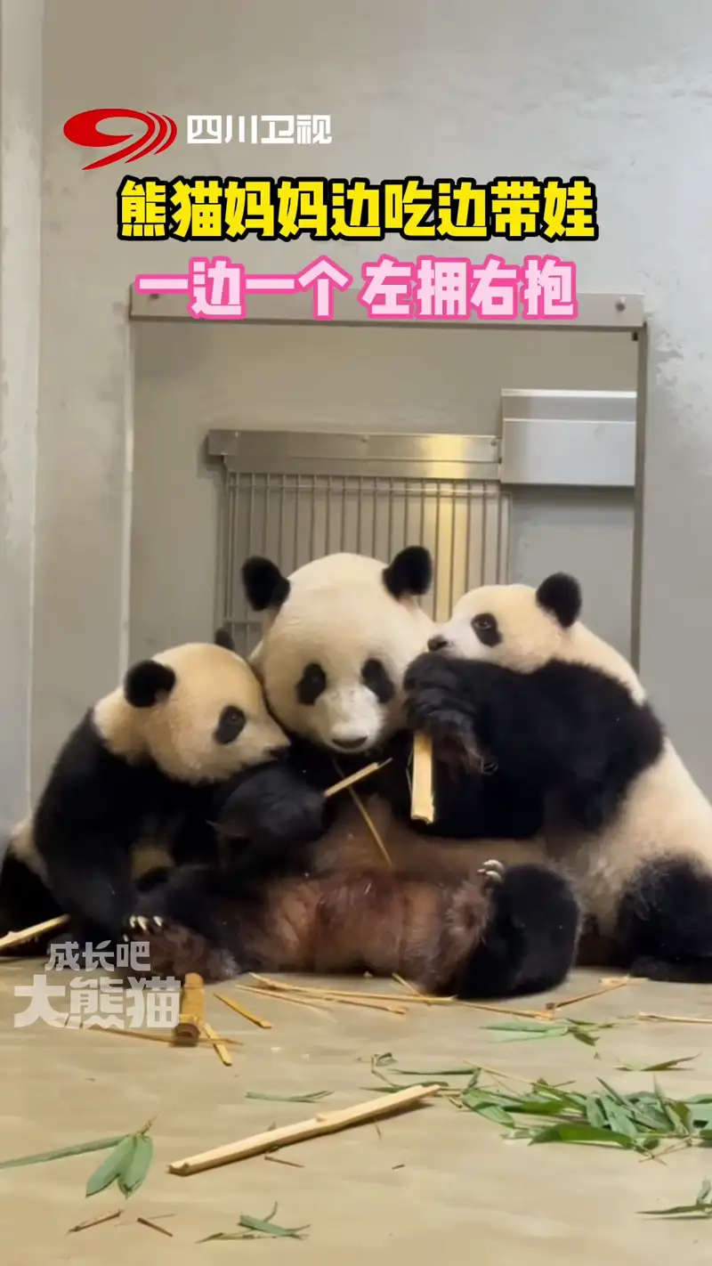 Video thumbnail: Twins Mother Yingying Two - Ga Ga & De De