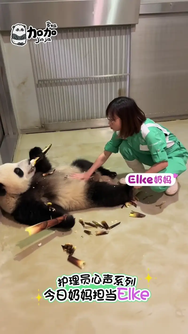 Video thumbnail: Jia Jia Bicycle - Ga Ga