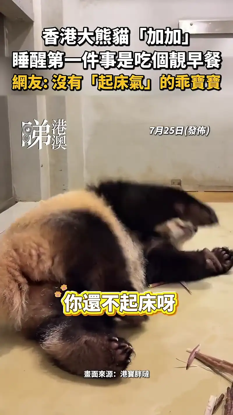 Video thumbnail: Jia Jia Morning Breakfast - Ga Ga