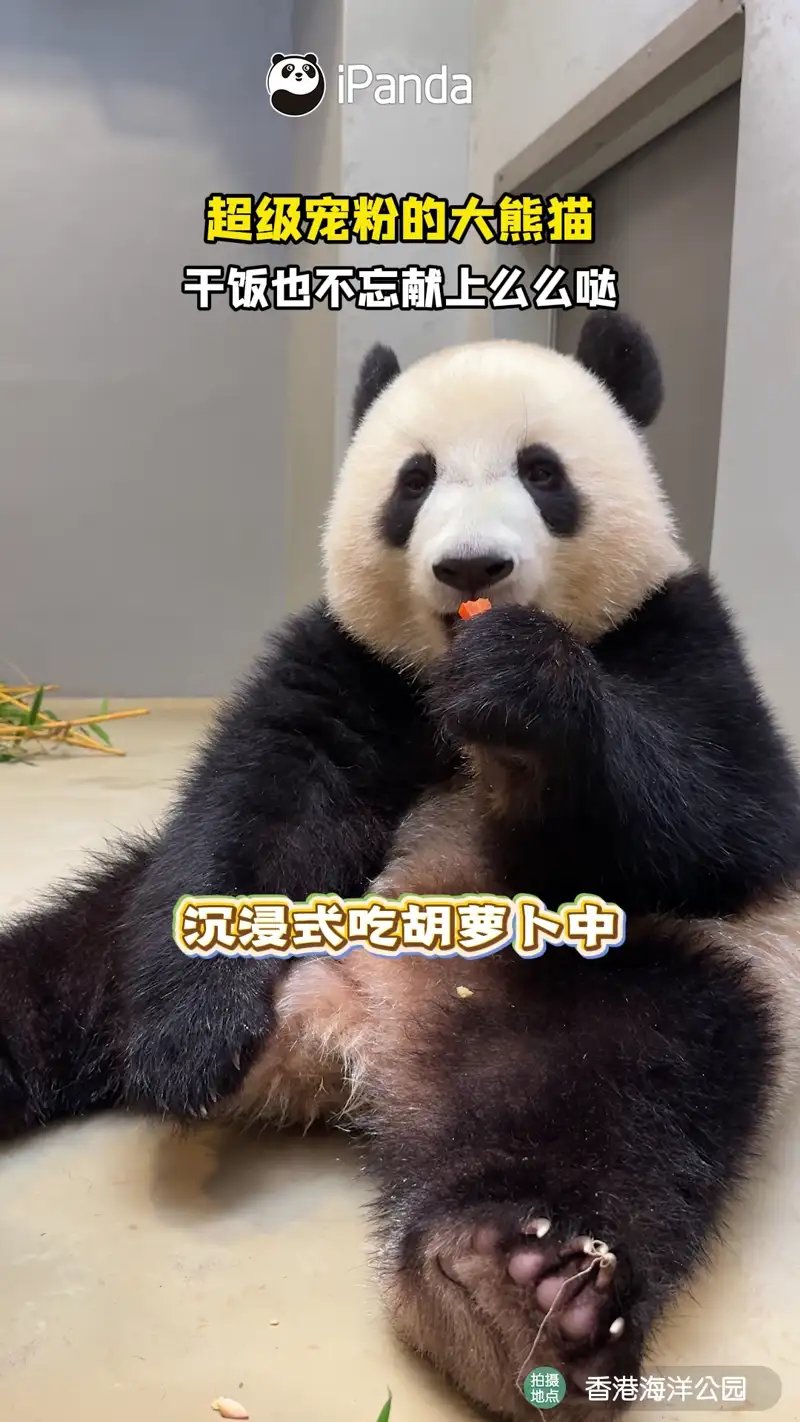 Video thumbnail: Jia Jia Steals Kiss - Ga Ga