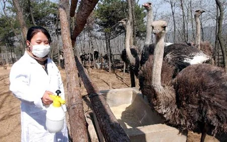 Photo of Jinan Zoo