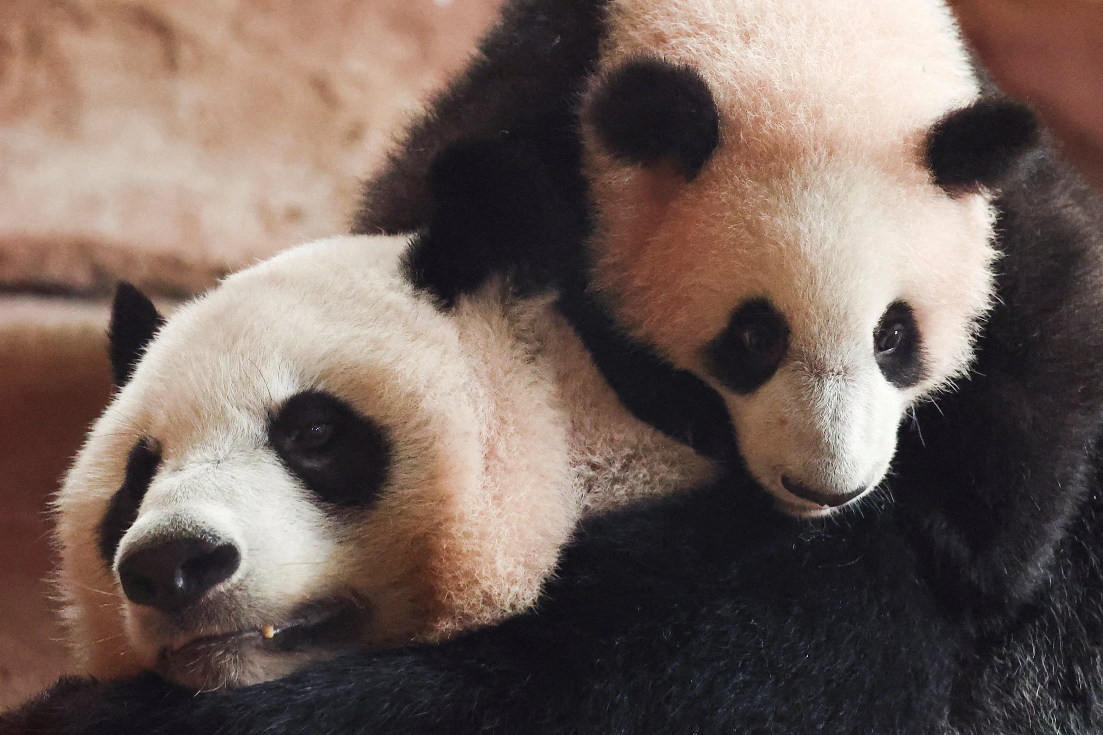 Rio Resting on Hu Chun