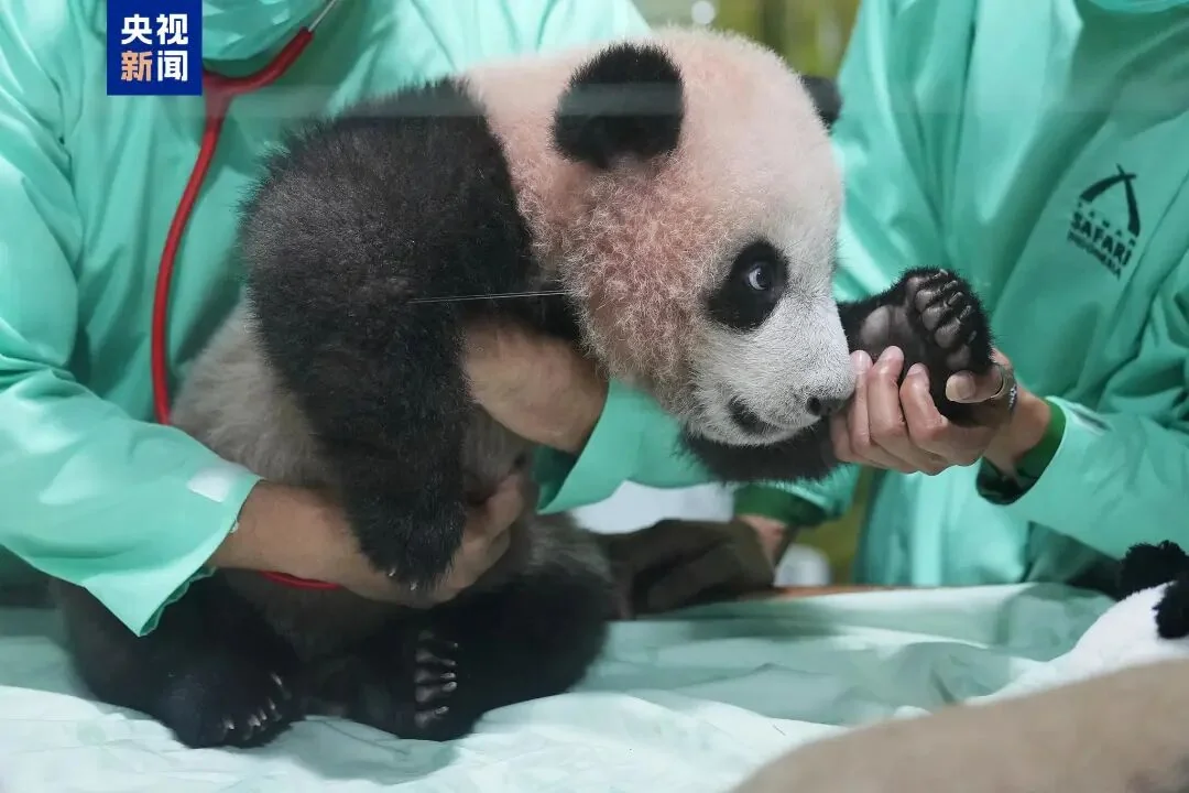 Baby Rio in a Keeper's Hands