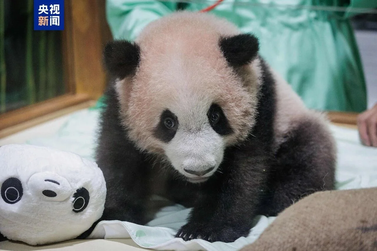 Baby Rio with His Teddy Bear