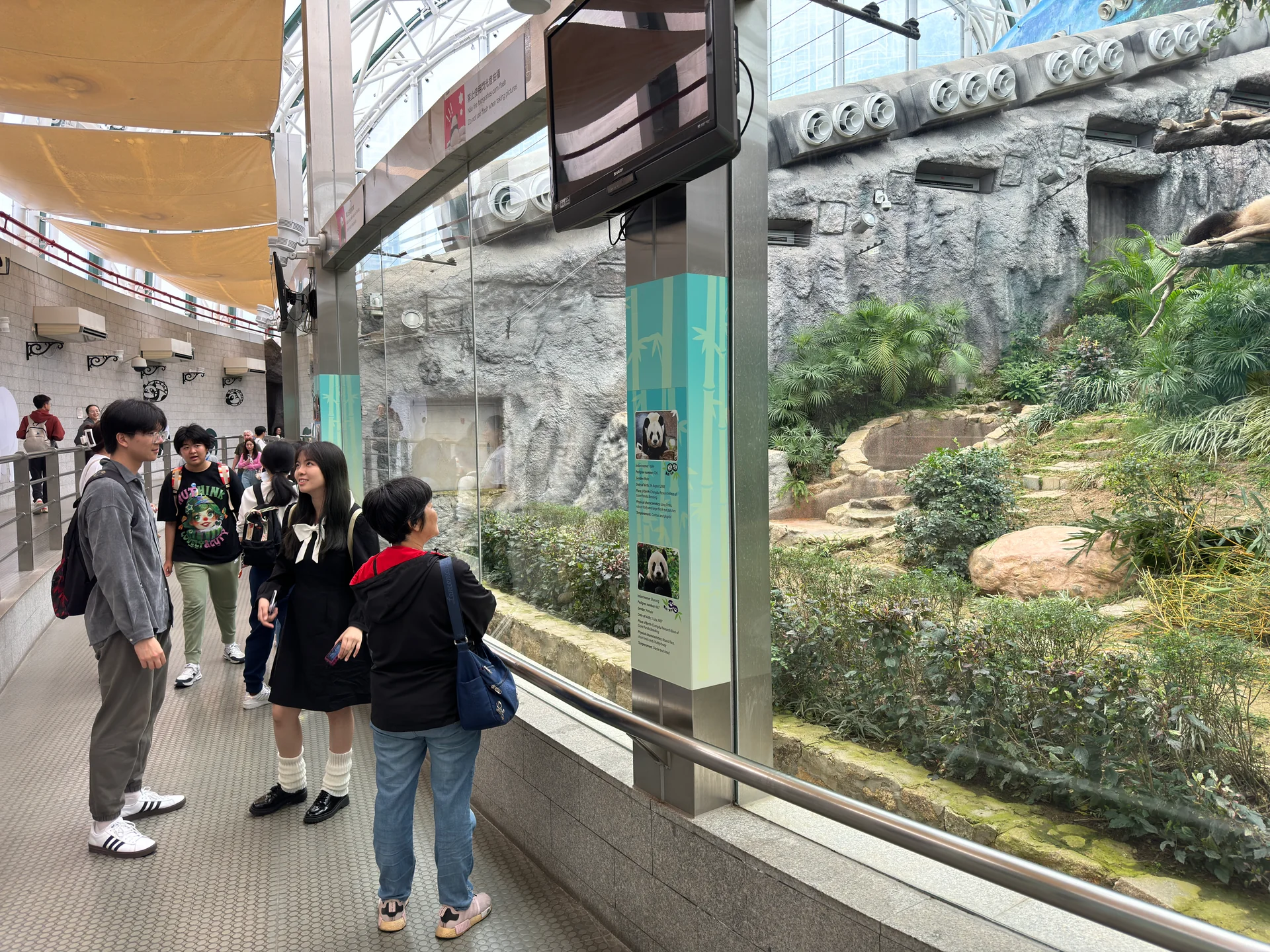 Photo of Macao Giant Panda Pavilion