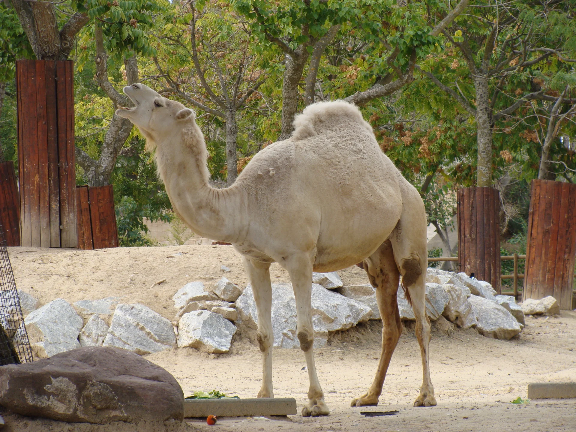 Photo of Zoo Aquarium de Madrid