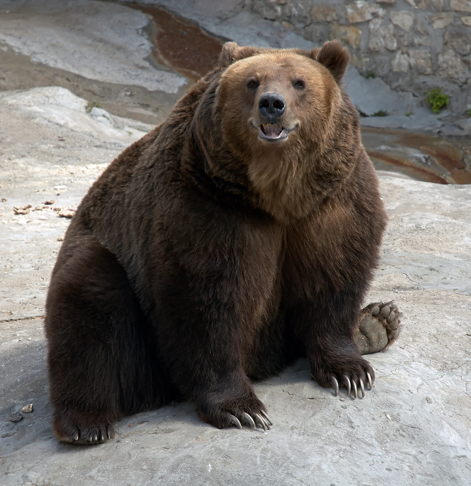 Photo of Moscow Zoo