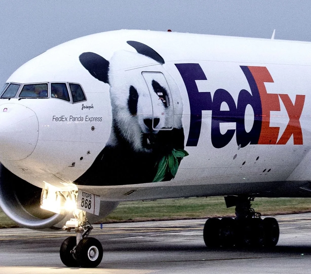 FedEx Panda Express Charter Plane Close-up