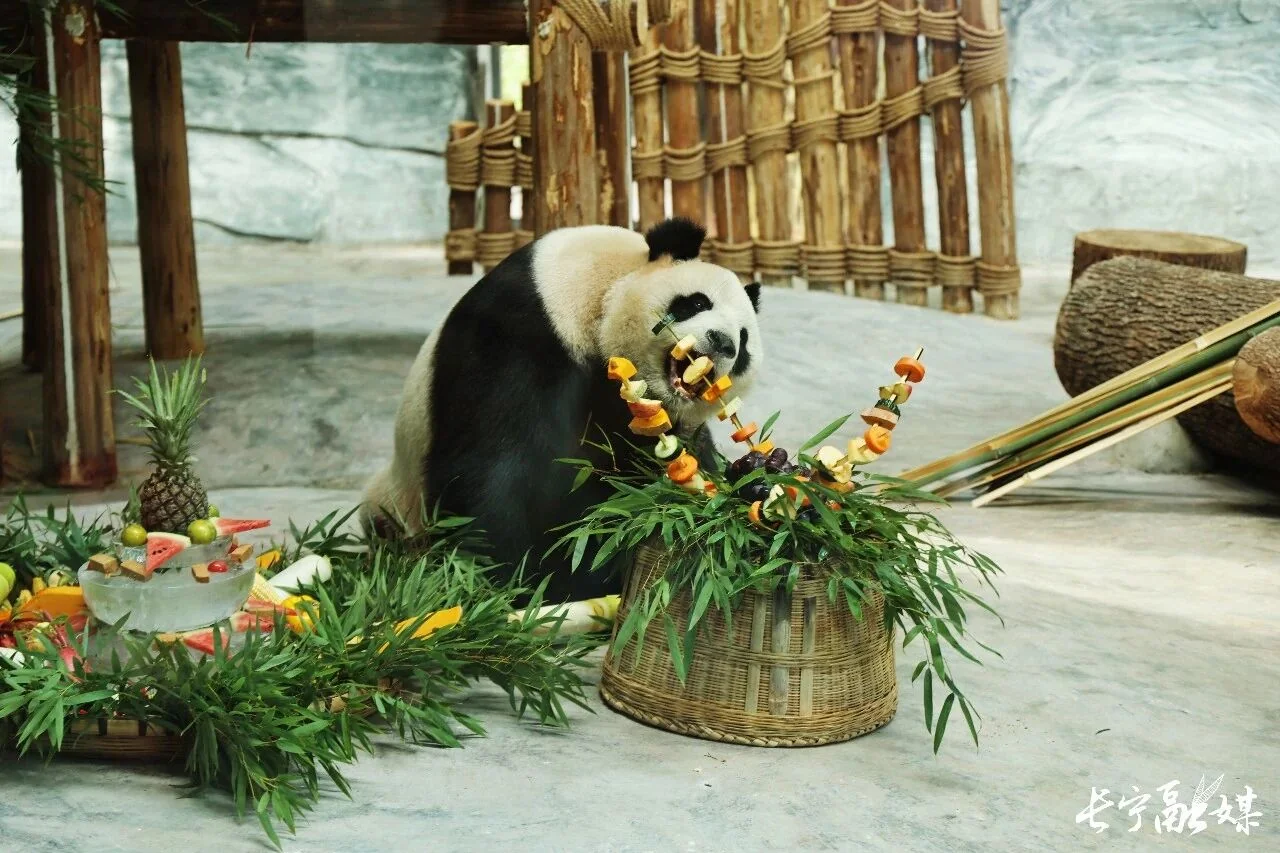 Ping Ping's 18th Birthday at Shunan Bamboo Sea