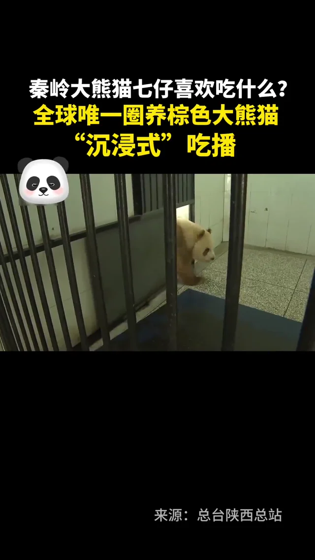 Video thumbnail: Qi Zai's immersive bamboo eating show