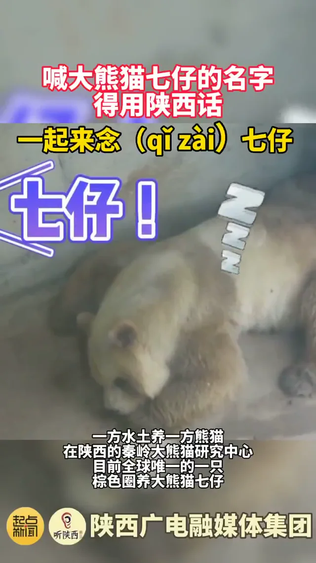 Video thumbnail: How to say Qi Zai's name in Shaanxi dialect