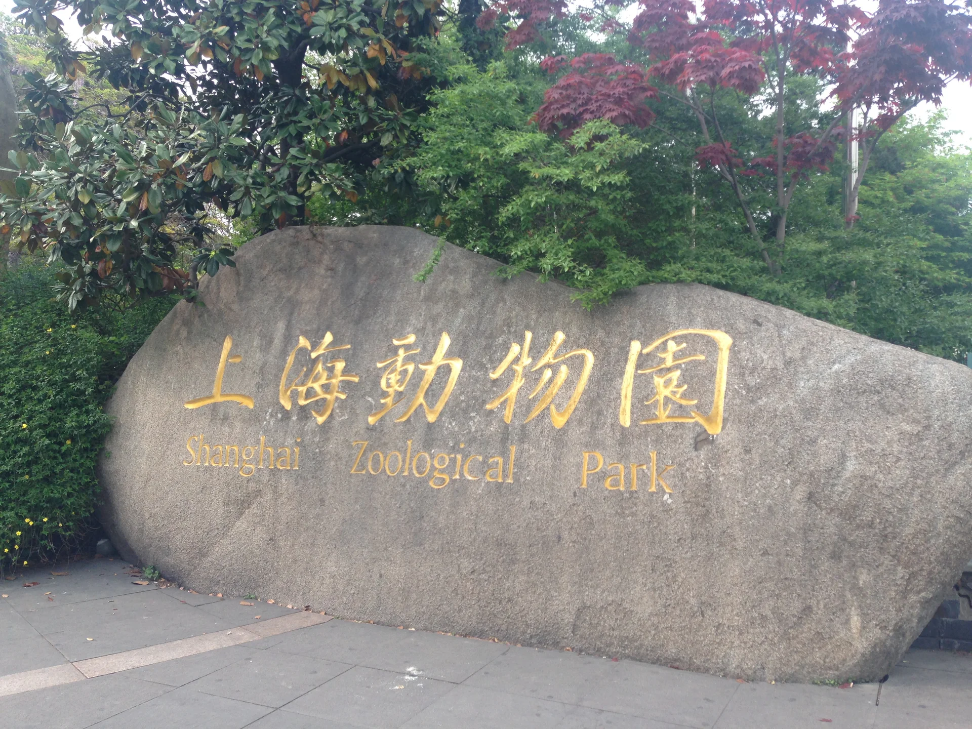 Photo of Shanghai Zoo
