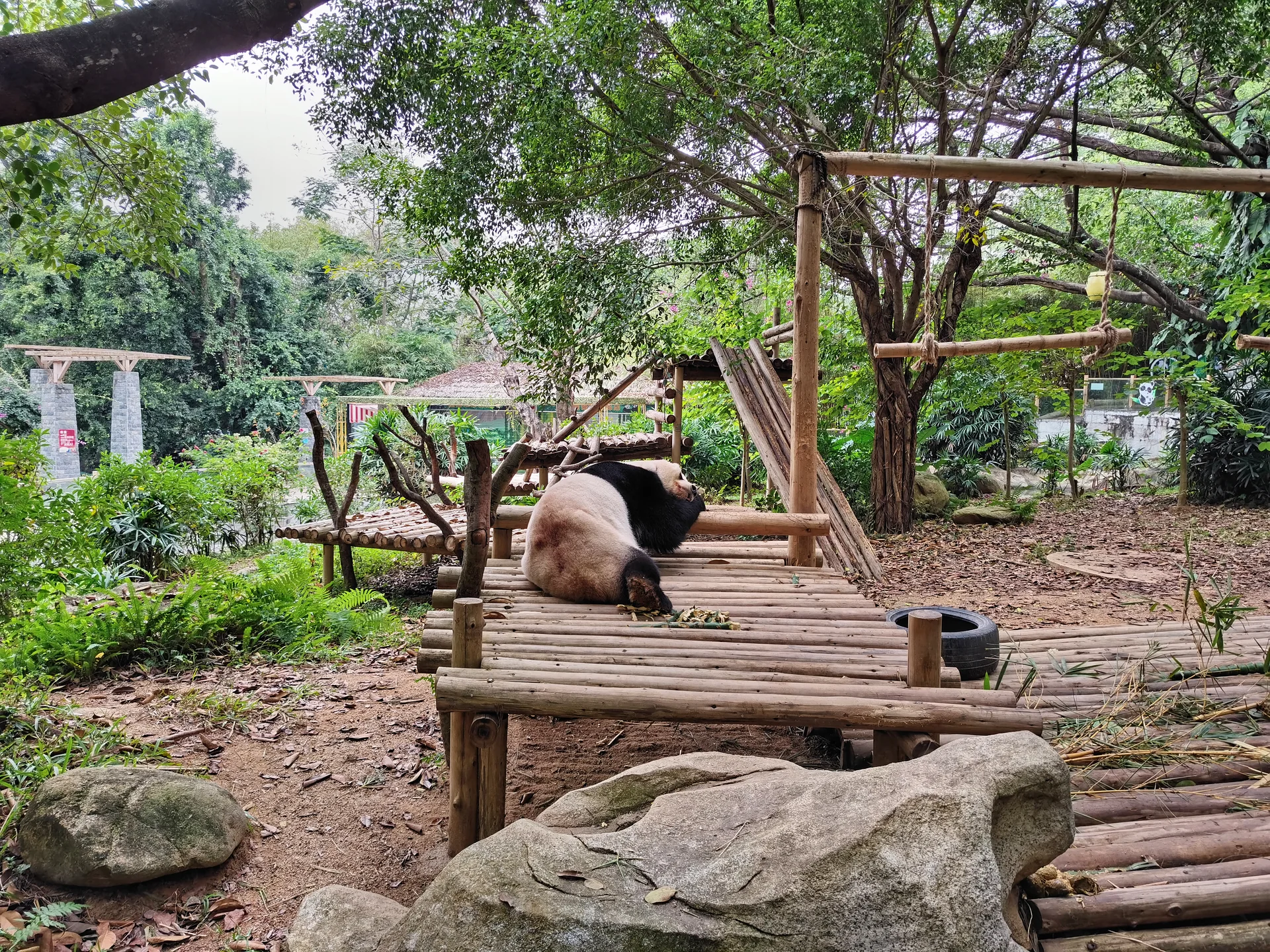 Photo of Shenzhen Safari Park