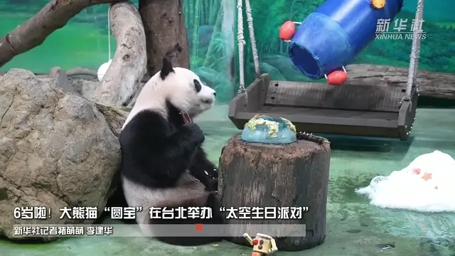 Video thumbnail: Yuan Bao’s Space Birthday Party