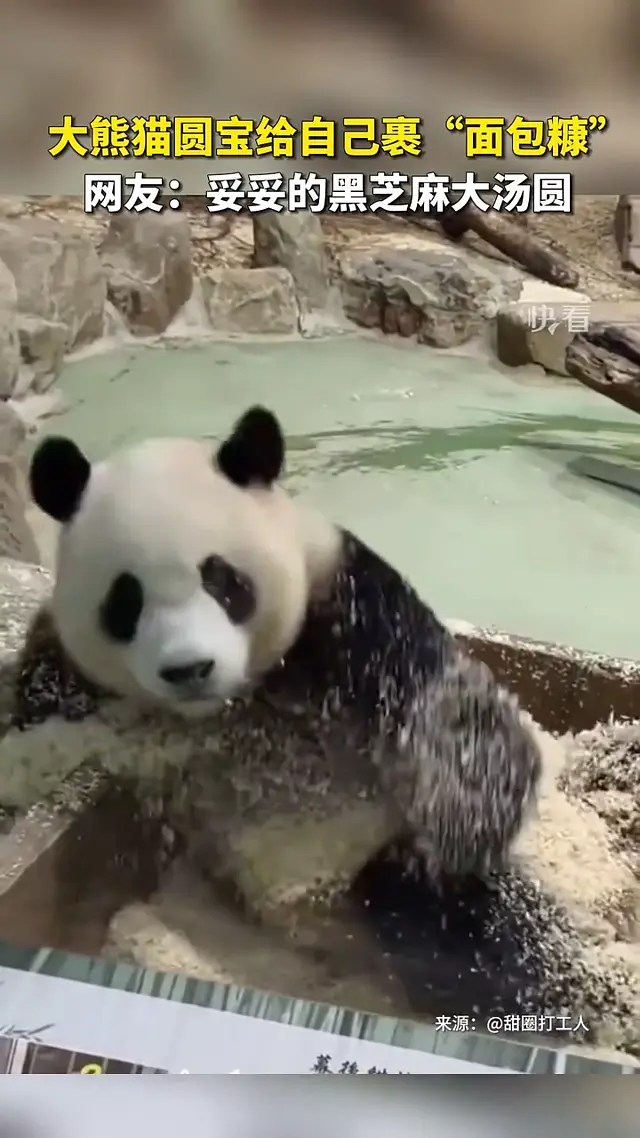 Video thumbnail: Yuan Bao “Breading” Herself