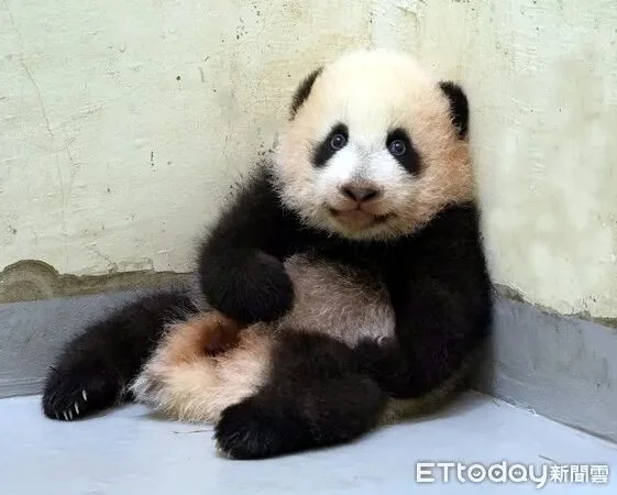 Yuan Bao Practicing the Signature Pose