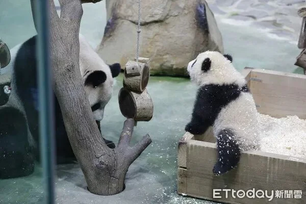 Yuan Bao with Her Mother