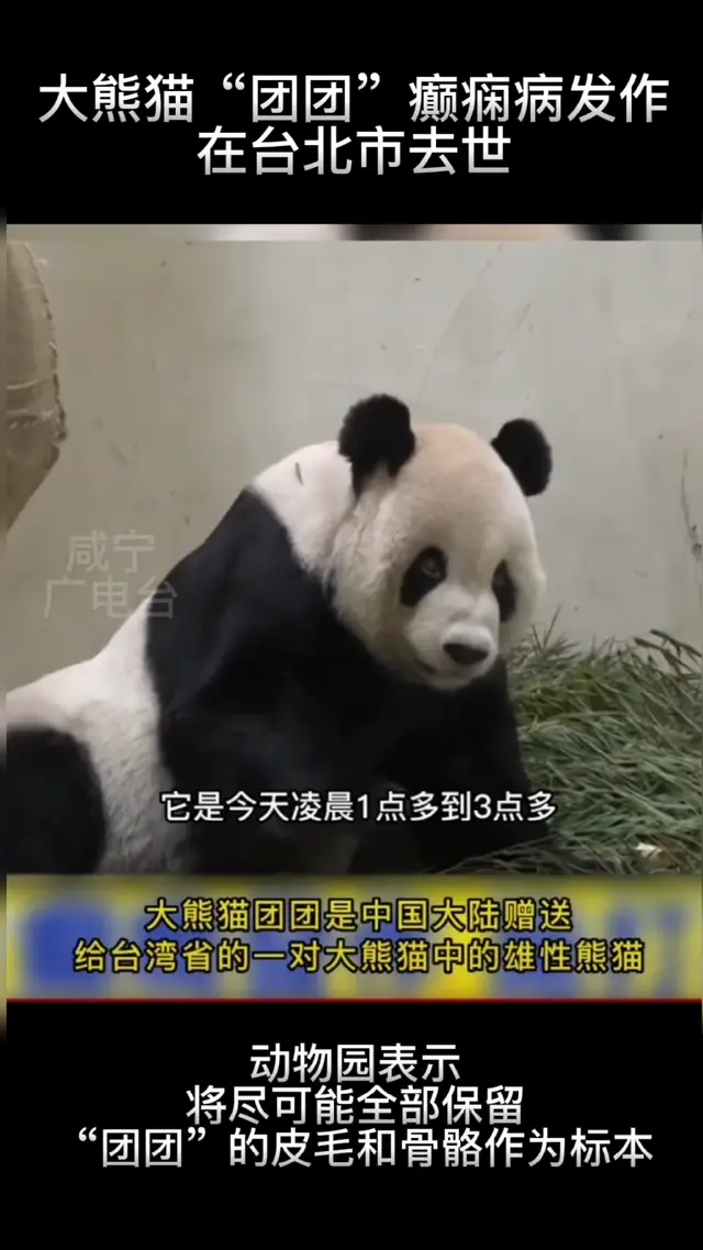 Video thumbnail: Tuan Tuan’s Condition Worsened and He Passed Away