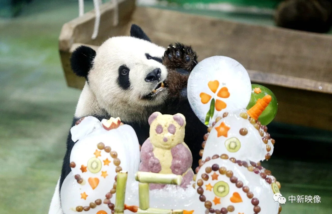 Tuan Tuan’s Birthday Party