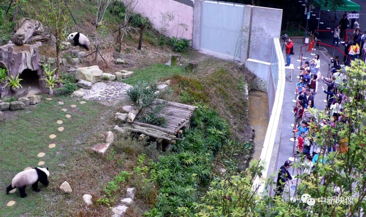 First Outdoor Appearance at Taipei Zoo