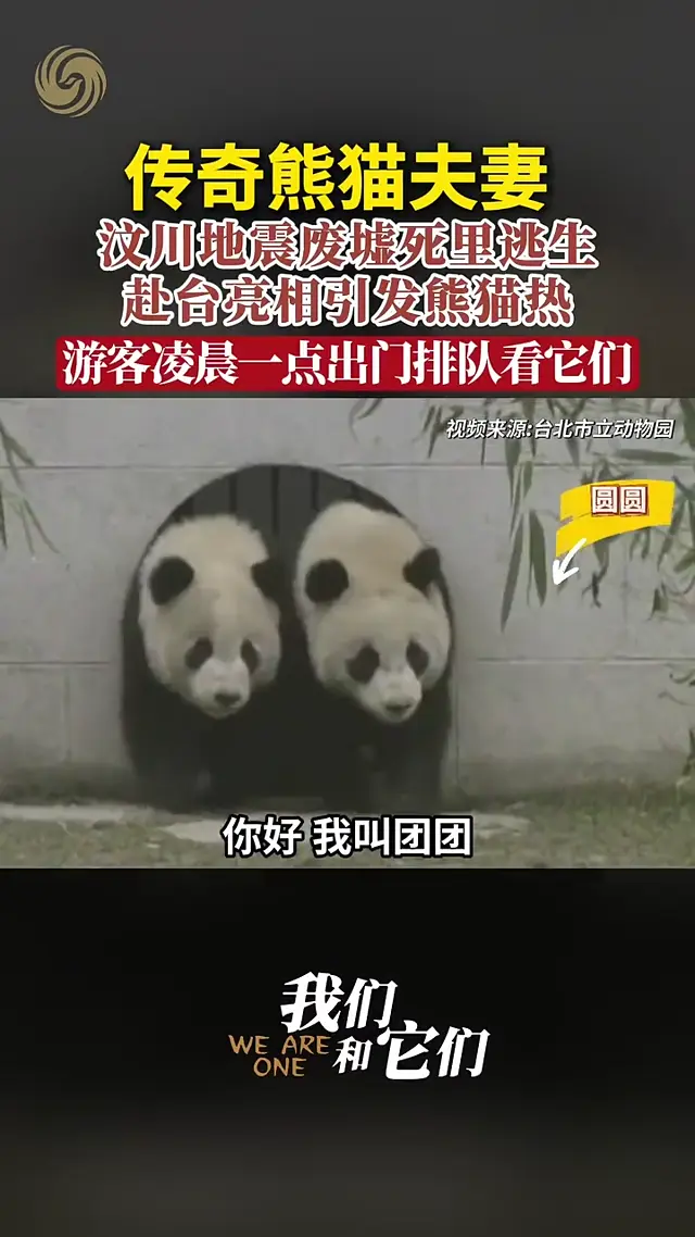 Video thumbnail: The Legendary Couple: Escaping the Wenchuan Quake