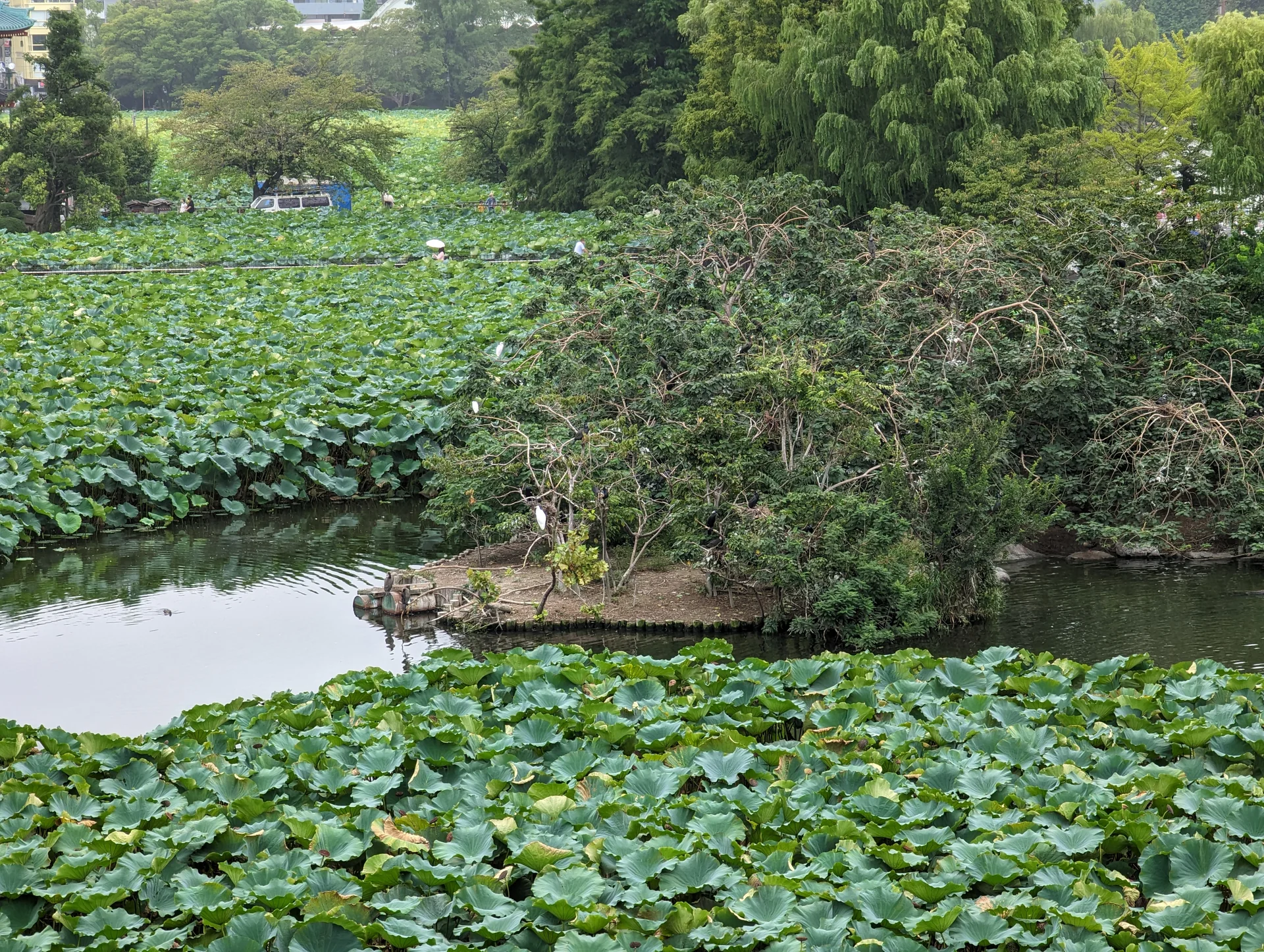 Photo of Ueno Zoo