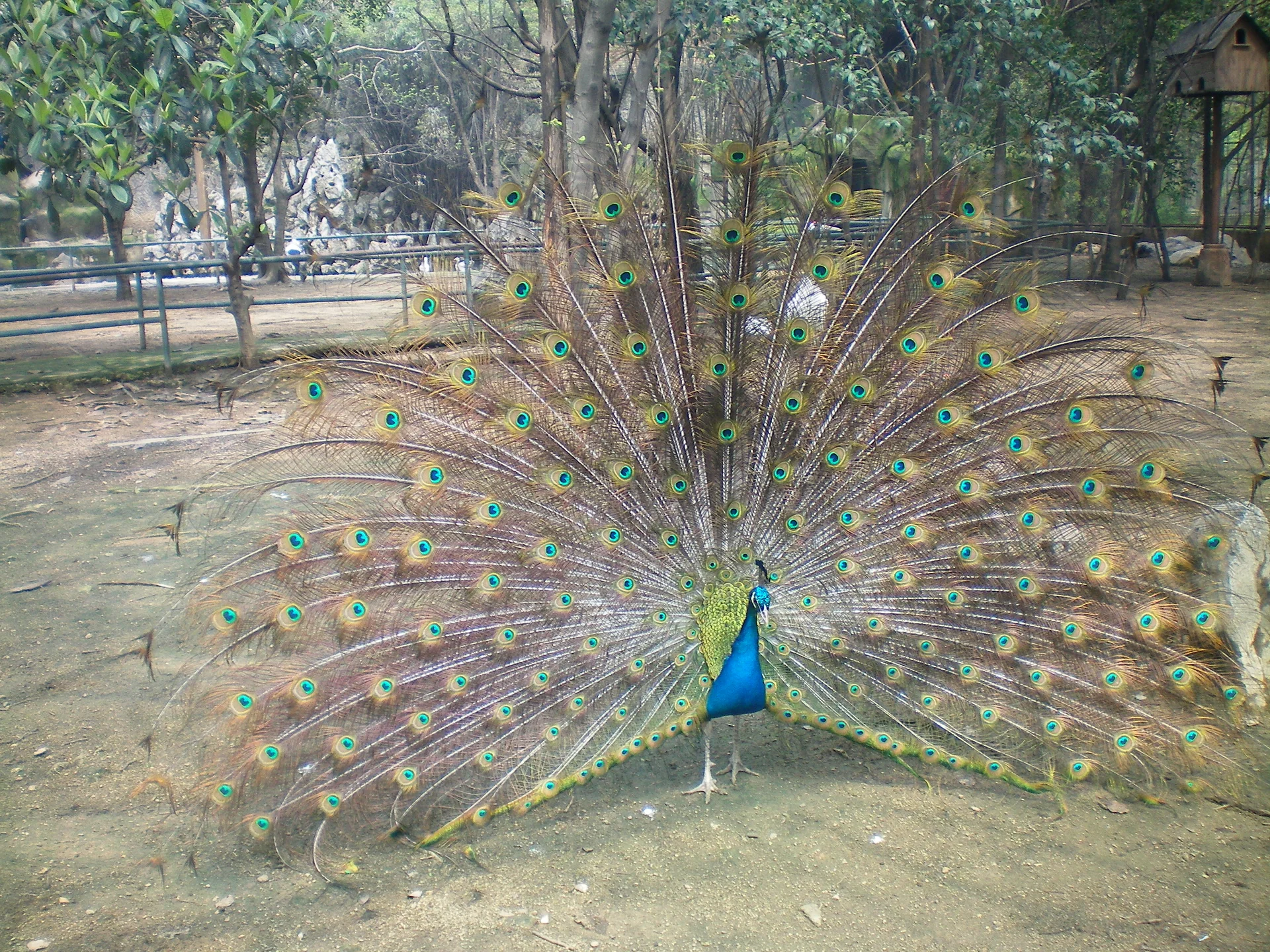 Photo of Wuhan Zoo