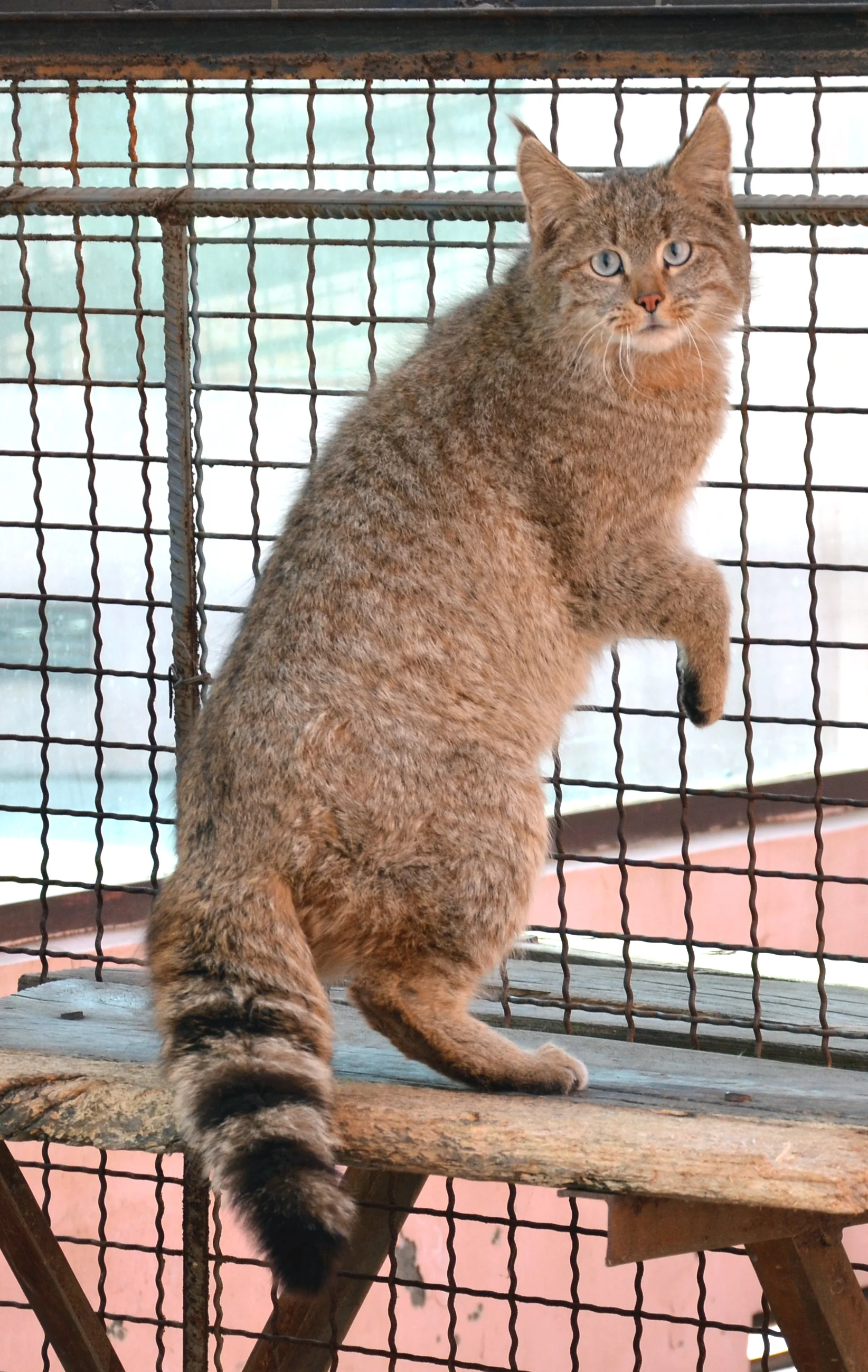 Photo of Xining Wildlife Park