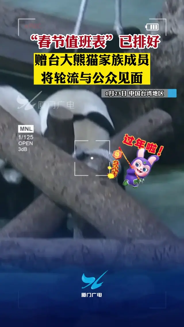 Video thumbnail: Gifted Panda Family’s Spring Festival Roster