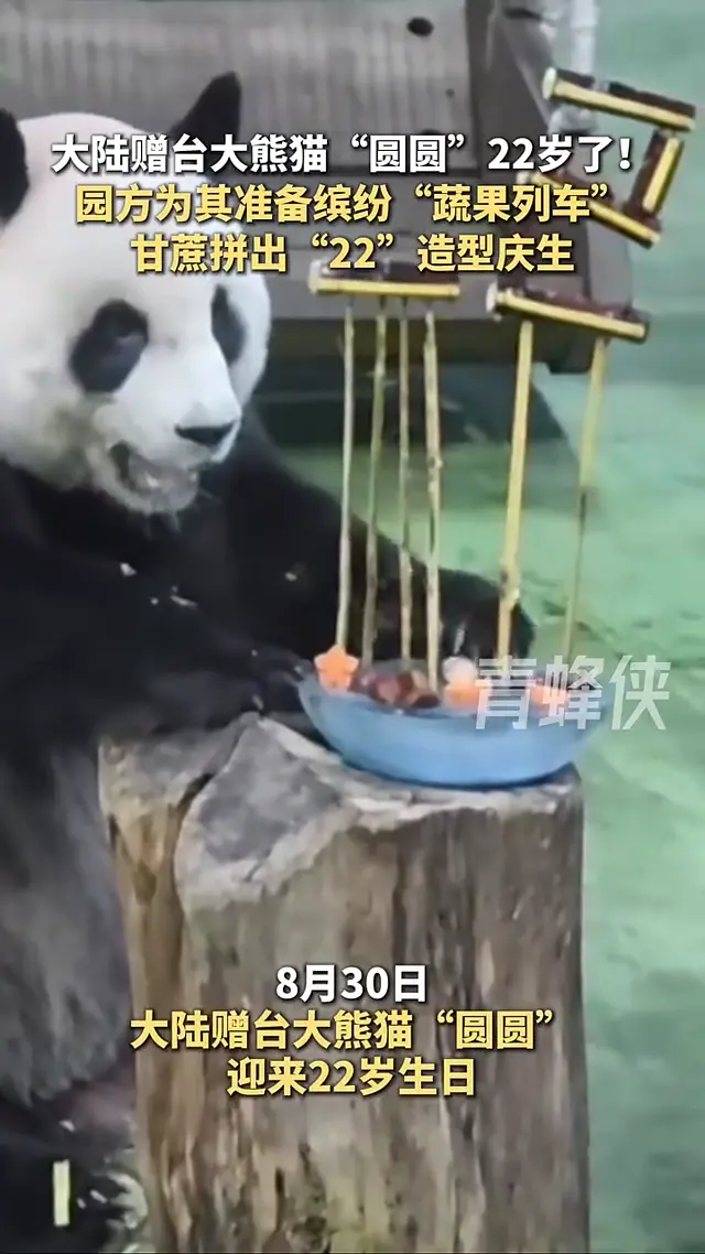 Video thumbnail: Yuan Yuan’s 22nd Birthday “Fruit Train”